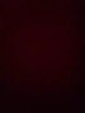 farsmcのウェブカメラショー