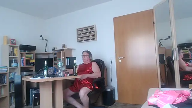 Show webcam de Sissygera