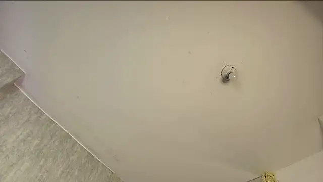 Chatroom XXX en direct de ValerySilva