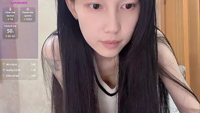 DD-5200 网络视讯表演