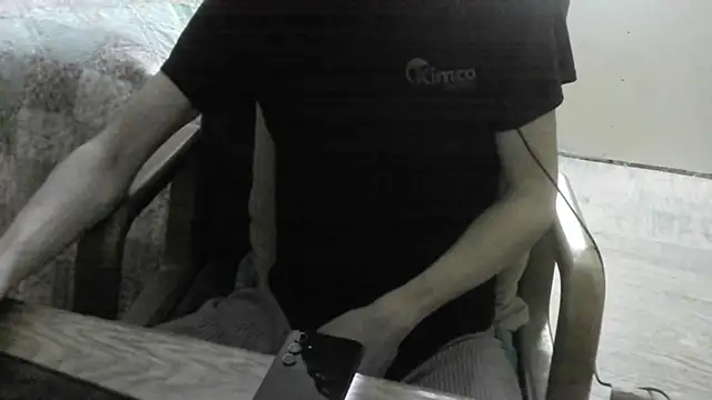 FiSTALiTYのウェブカメラショー