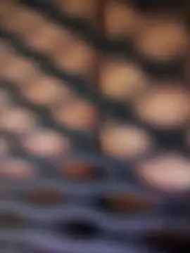 RooseWater লাইভ XXX চ্যাট