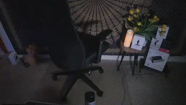 viking6reddd Pertunjukan Webcam