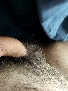 Webkamerová show thicky_dicky_n