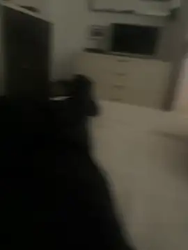 ANONIMO7735 Show in webcam