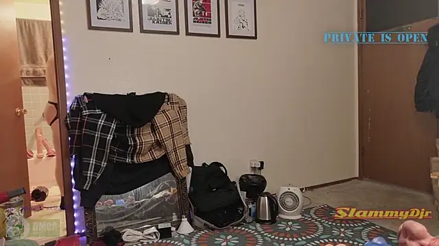 Show webcam de SlammyDjr