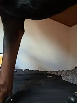 ClaireDeLunee Live XXX-chat