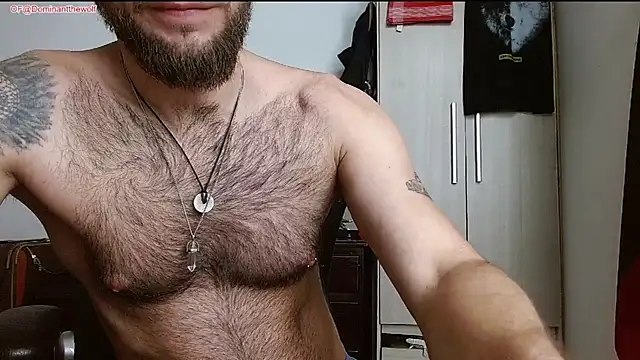 DominanThewolff's Live XXX Chat