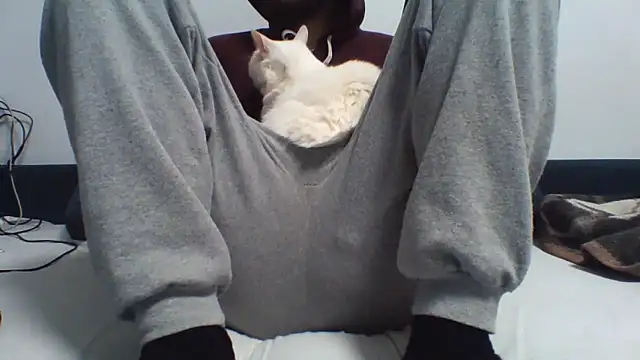 KaelNoxのウェブカメラショー