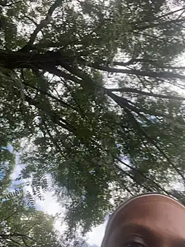 Webkamerová show Yonce0