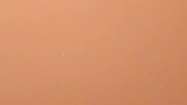 b3cky_'s Live XXX Chat