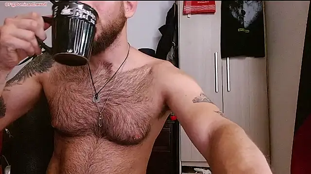 Show modela DominanThewolff na web-kameri