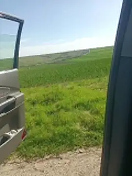 Saysomething3n Live XXX chat