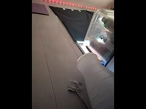 عرض كام LordSpunFun