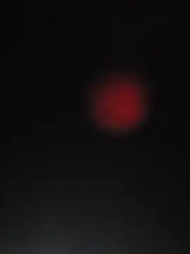 piggylatino 网络视讯表演