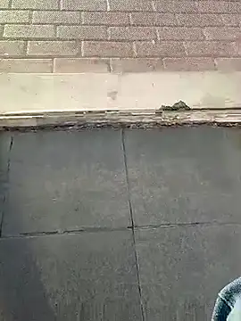 عرض كام oneeyedwonder96