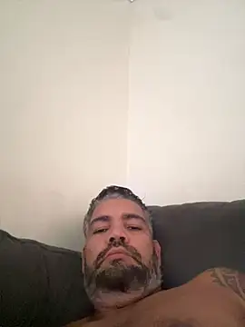 Chat +18 de adgato ao vivo