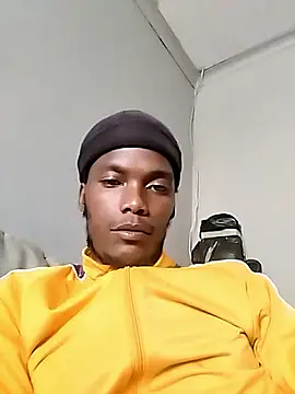 StipMode Pertunjukan Webcam