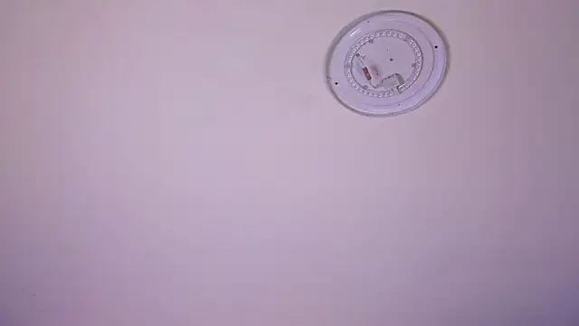 toxicpassion 在線直播表演