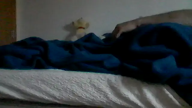 Silencio26: διαδικτυακό σόου στην κάμερα