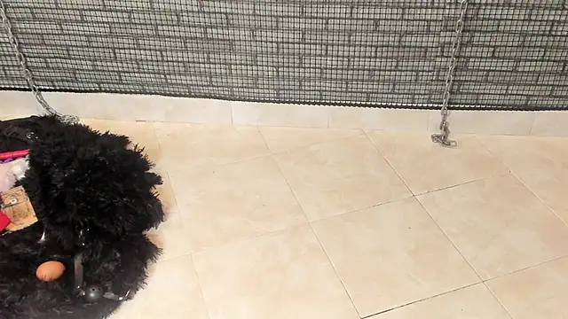 Chat XXX Live hillary_bigbutt