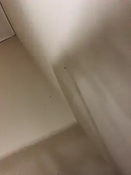 ranga-1984: вебкам-шоу