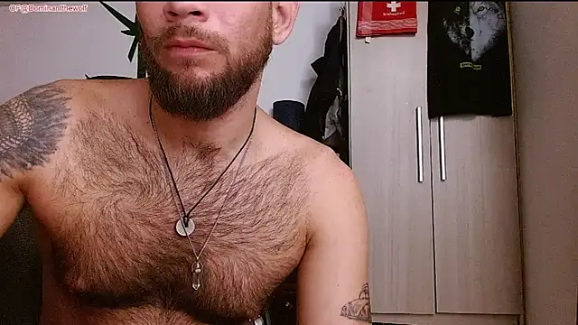 Вебкам-шоу DominanThewolff