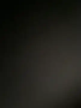 dingoding Show in webcam