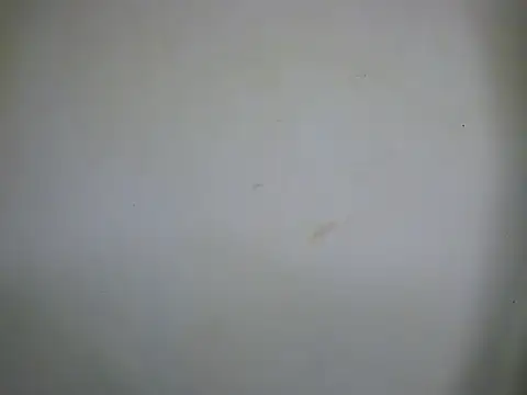 Avnee_01n Webbikameraesitys