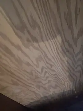 LordSpunFun: вебкам-шоу