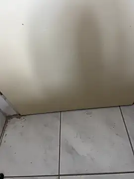 Show modela mikimakim na web-kameri