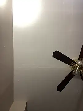 islandvybee55 Show in webcam