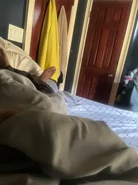 dingoding Show in webcam