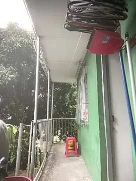 JE1999_28 élő XXX-chatje