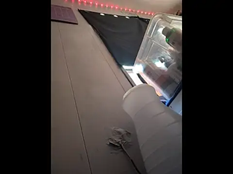 Show Webcam de LordSpunFun