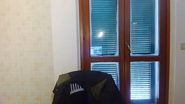 AMIRDIB2025 即時 XXX 聊天