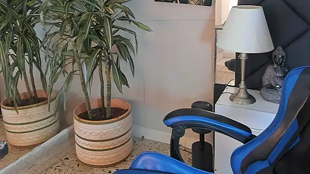 kai_storn: διαδικτυακό σόου στην κάμερα