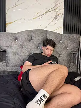 Noah-ledomn Webbikameraesitys