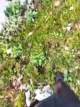 عرض كام Sert_erkek21_ysm