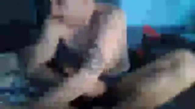 chceciedalsiebien Live XXX chat