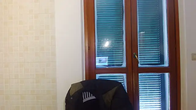 AMIRDIB2025 Webcam show