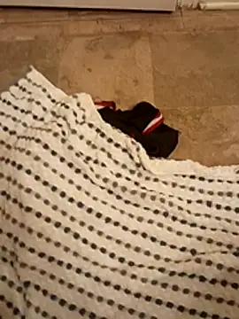 thickdicck90 Webcam-Show