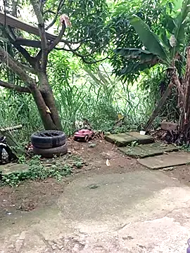 Chatroom XXX en direct de venusandzeus@xh