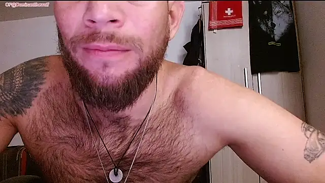 DominanThewolff: онлайн-секс-чат