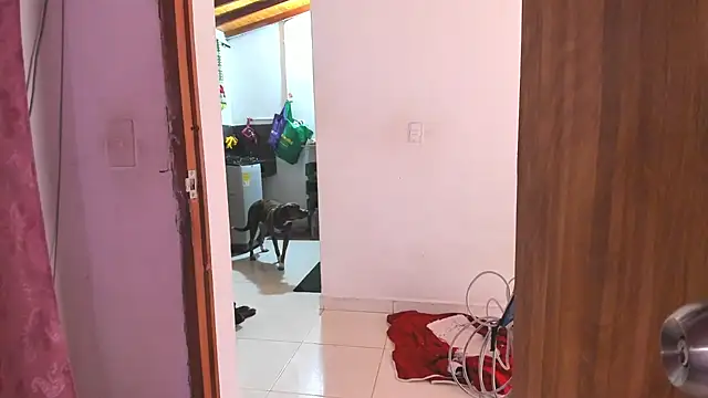 XXX chat uživo modela LillyCandy