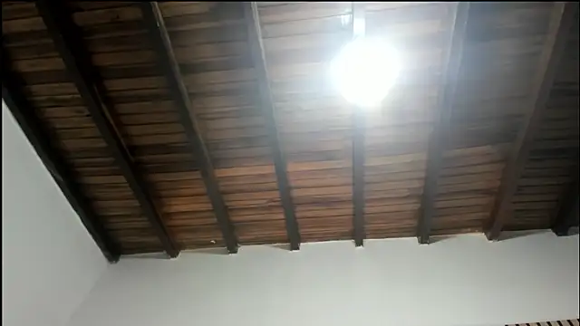 DilanAndKingのウェブカメラショー