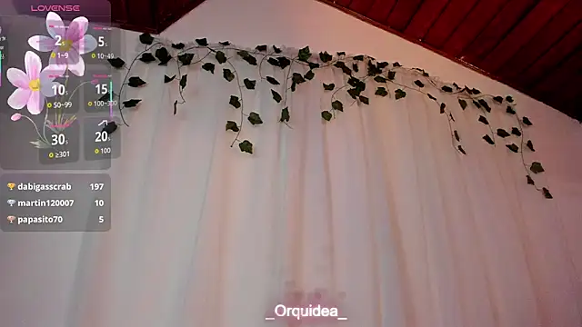 _Orquidea_ Chat XXX in diretta