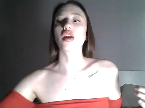 DarkMirel – Kamerová šou