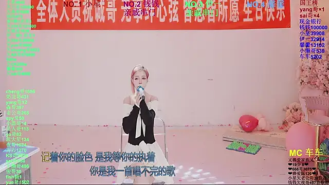 ZZ00033Sn Webbikameraesitys