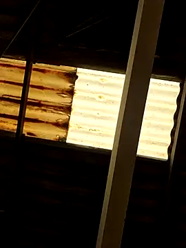 Chat +18 de hoonney ao vivo